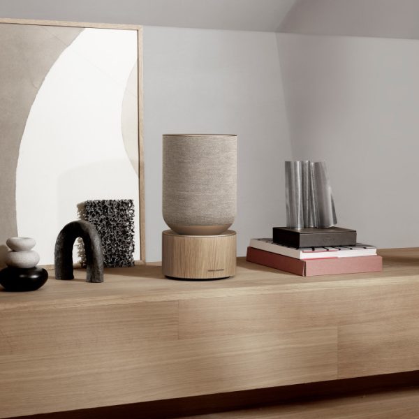 Transforming the Soundscape: Luxury Speakers